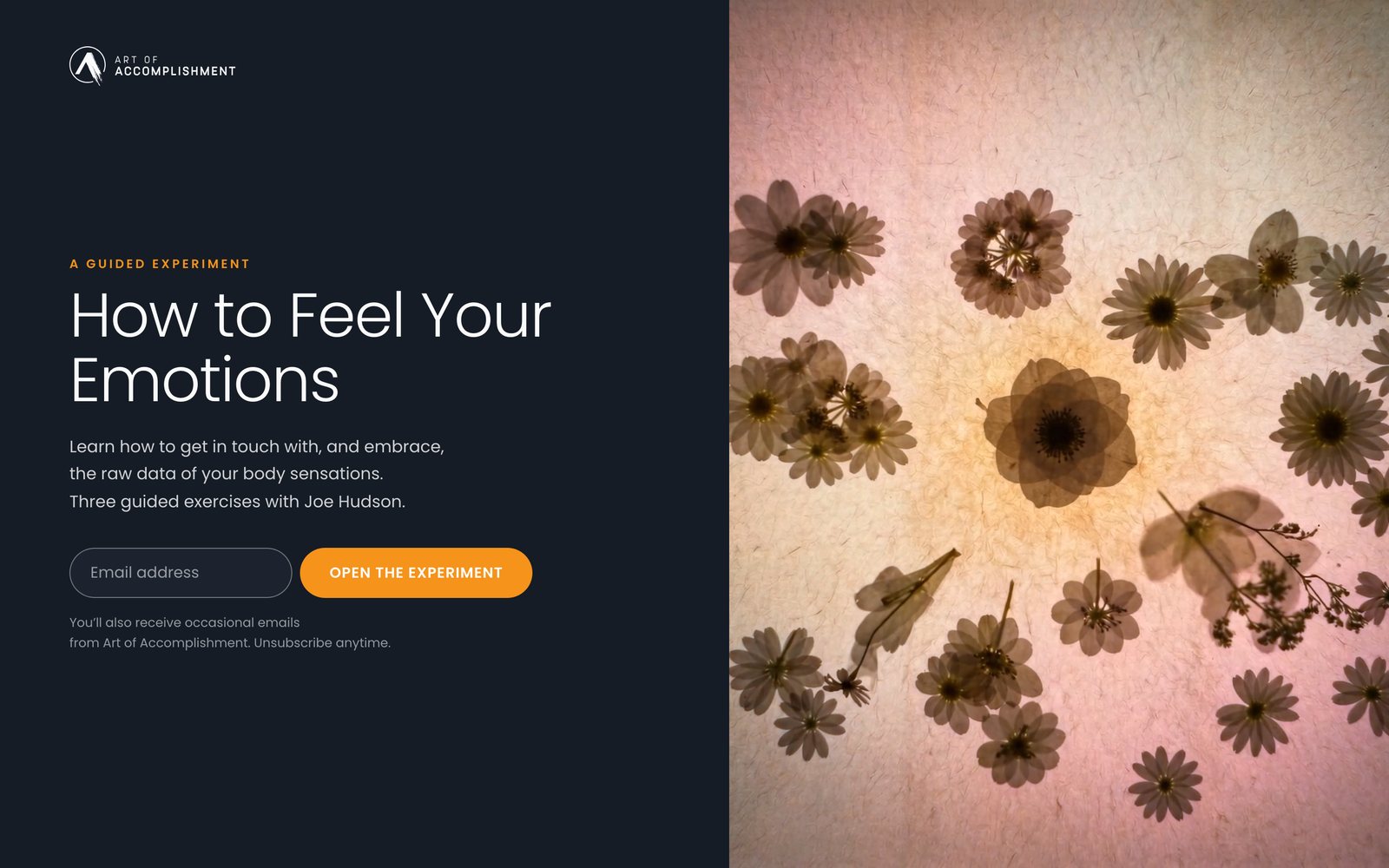 How to Feel Your Emotions: the entry page, on a laptop